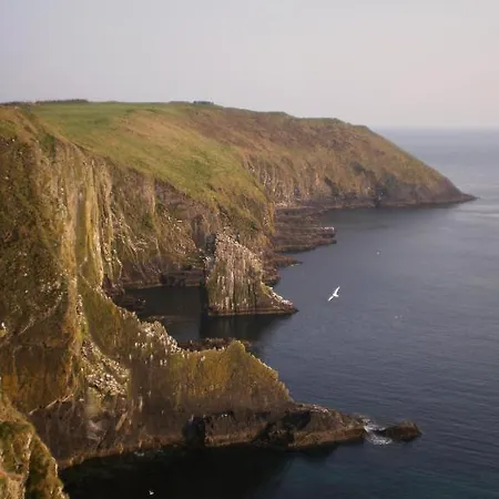 ホステル Kinlay House *