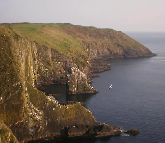 Хостел Kinlay House *