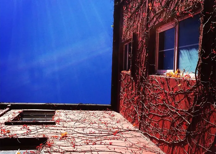 Hostel Kinlay House *