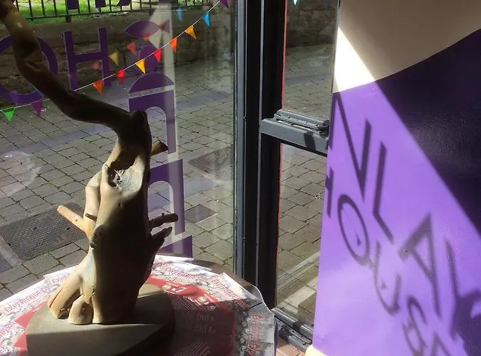 Hostel Kinlay House Cork